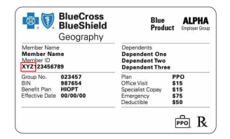 Find My Bluecross Blueshield Of Texas Member Id – Tava Client Help Center